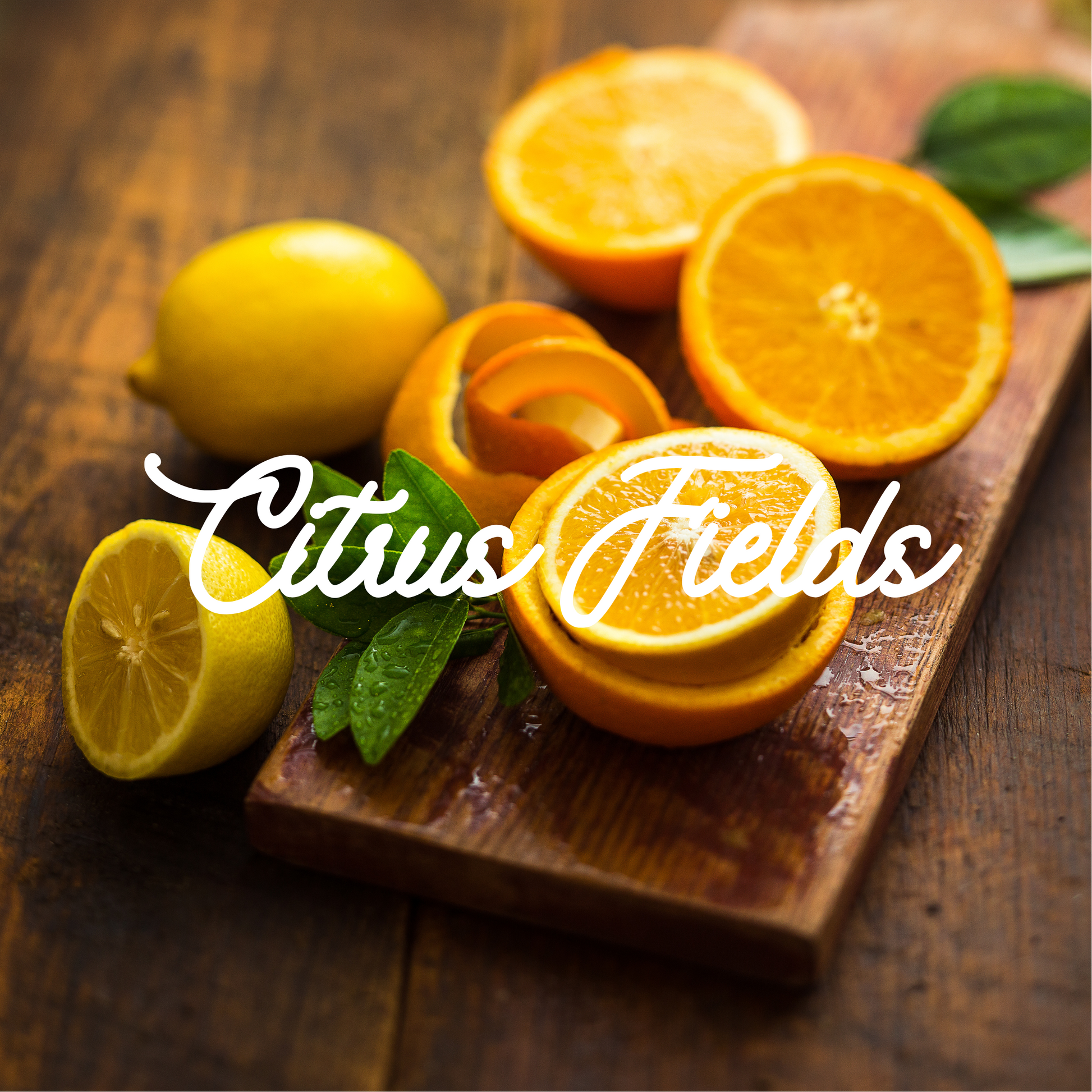 citrus fields candle perfect for kitchen and bath