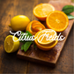 Citrus Fields Natural Soy Wax Candle with Cotton Wick